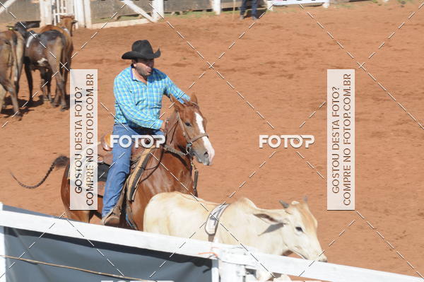 Buy your photos of the eventTEAM PENNING  GRANDE FINAL CAMARU on Fotop