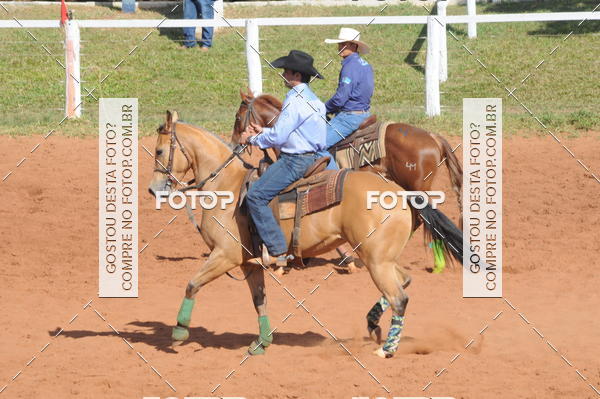 Buy your photos of the eventTEAM PENNING  GRANDE FINAL CAMARU on Fotop