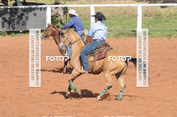 Buy your photos of the eventTEAM PENNING  GRANDE FINAL CAMARU on Fotop