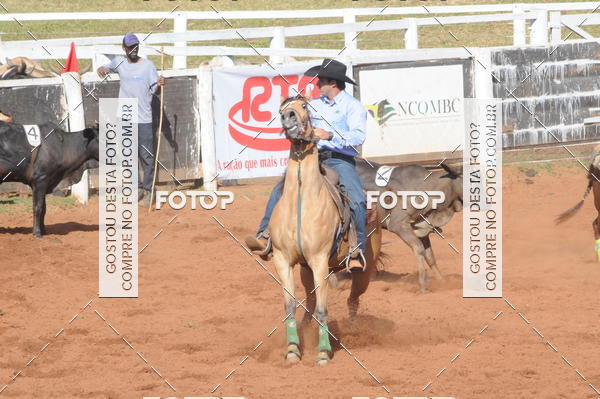 Buy your photos of the eventTEAM PENNING  GRANDE FINAL CAMARU on Fotop