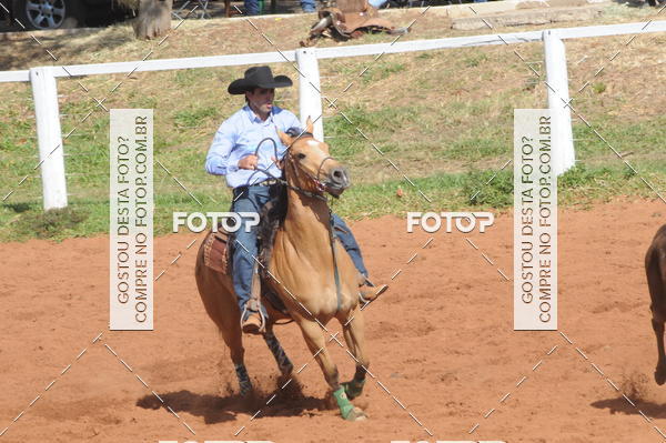 Buy your photos of the eventTEAM PENNING  GRANDE FINAL CAMARU on Fotop