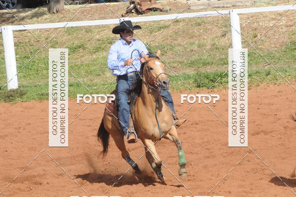 Buy your photos of the eventTEAM PENNING  GRANDE FINAL CAMARU on Fotop