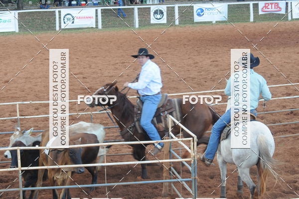 Buy your photos of the eventTEAM PENNING  GRANDE FINAL CAMARU on Fotop