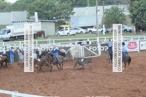 Buy your photos of the eventTEAM PENNING  GRANDE FINAL CAMARU on Fotop