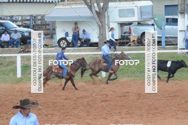 Buy your photos of the eventTEAM PENNING  GRANDE FINAL CAMARU on Fotop
