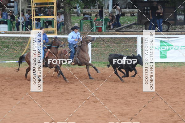 Buy your photos of the eventTEAM PENNING  GRANDE FINAL CAMARU on Fotop