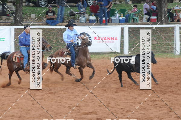 Buy your photos of the eventTEAM PENNING  GRANDE FINAL CAMARU on Fotop