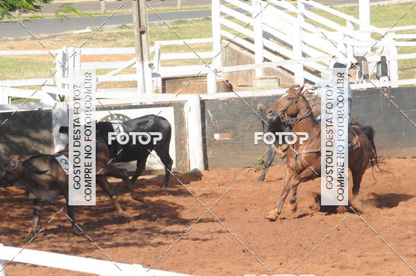 Buy your photos of the eventTEAM PENNING  GRANDE FINAL CAMARU on Fotop