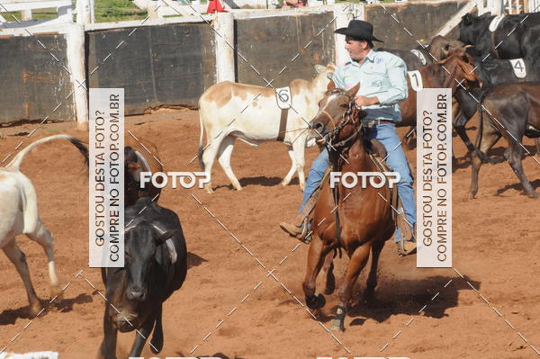 Buy your photos of the eventTEAM PENNING  GRANDE FINAL CAMARU on Fotop