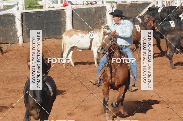 Buy your photos of the eventTEAM PENNING  GRANDE FINAL CAMARU on Fotop
