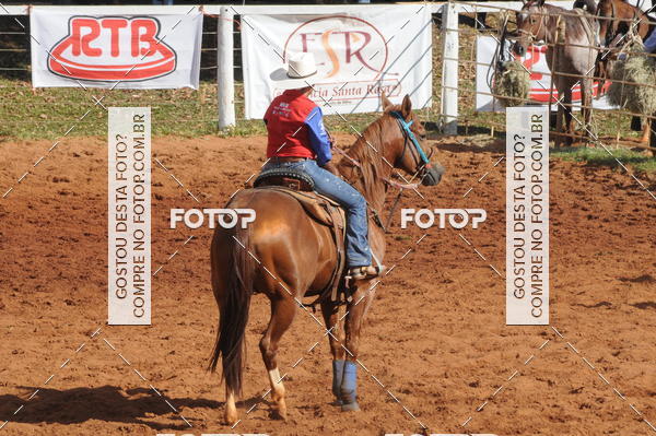 Buy your photos of the eventTEAM PENNING  GRANDE FINAL CAMARU on Fotop