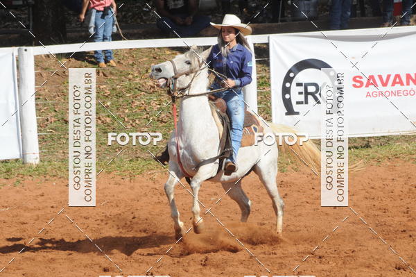 Buy your photos of the eventTEAM PENNING  GRANDE FINAL CAMARU on Fotop
