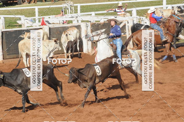 Buy your photos of the eventTEAM PENNING  GRANDE FINAL CAMARU on Fotop