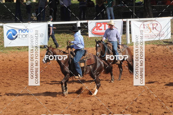 Buy your photos of the eventTEAM PENNING  GRANDE FINAL CAMARU on Fotop