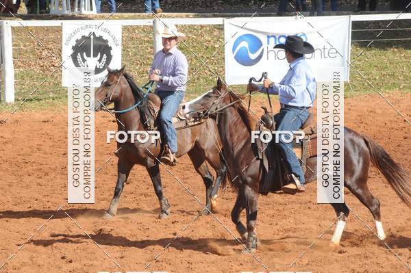 Buy your photos of the eventTEAM PENNING  GRANDE FINAL CAMARU on Fotop
