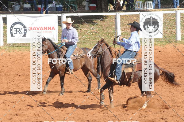 Buy your photos of the eventTEAM PENNING  GRANDE FINAL CAMARU on Fotop