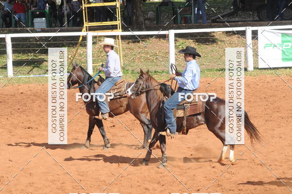 Buy your photos of the eventTEAM PENNING  GRANDE FINAL CAMARU on Fotop