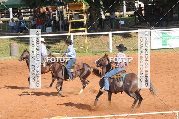 Buy your photos of the eventTEAM PENNING  GRANDE FINAL CAMARU on Fotop