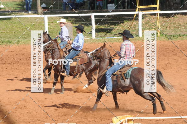 Buy your photos of the eventTEAM PENNING  GRANDE FINAL CAMARU on Fotop