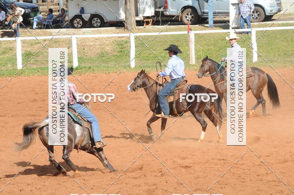 Buy your photos of the eventTEAM PENNING  GRANDE FINAL CAMARU on Fotop