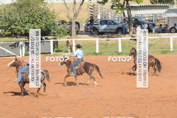 Buy your photos of the eventTEAM PENNING  GRANDE FINAL CAMARU on Fotop