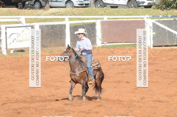 Buy your photos of the eventTEAM PENNING  GRANDE FINAL CAMARU on Fotop