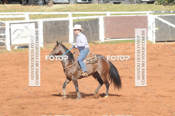 Buy your photos of the eventTEAM PENNING  GRANDE FINAL CAMARU on Fotop