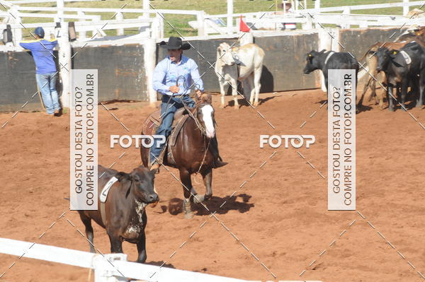 Buy your photos of the eventTEAM PENNING  GRANDE FINAL CAMARU on Fotop