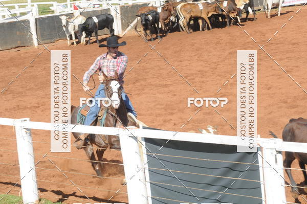 Buy your photos of the eventTEAM PENNING  GRANDE FINAL CAMARU on Fotop