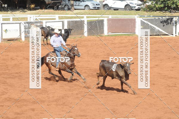 Buy your photos of the eventTEAM PENNING  GRANDE FINAL CAMARU on Fotop