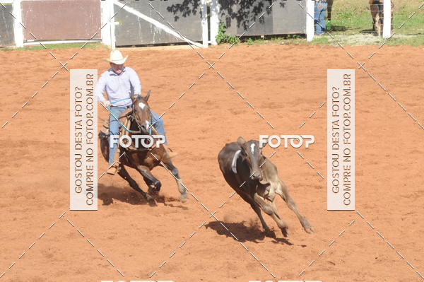 Buy your photos of the eventTEAM PENNING  GRANDE FINAL CAMARU on Fotop