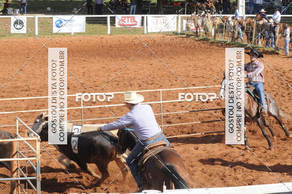 Buy your photos of the eventTEAM PENNING  GRANDE FINAL CAMARU on Fotop