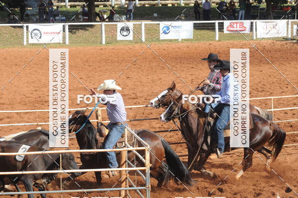 Buy your photos of the eventTEAM PENNING  GRANDE FINAL CAMARU on Fotop