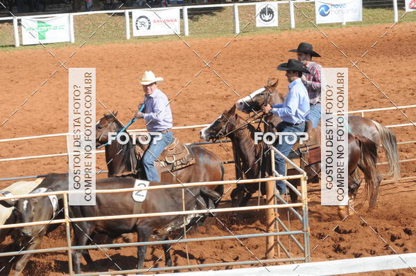 Buy your photos of the eventTEAM PENNING  GRANDE FINAL CAMARU on Fotop