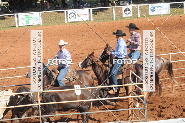 Buy your photos of the eventTEAM PENNING  GRANDE FINAL CAMARU on Fotop