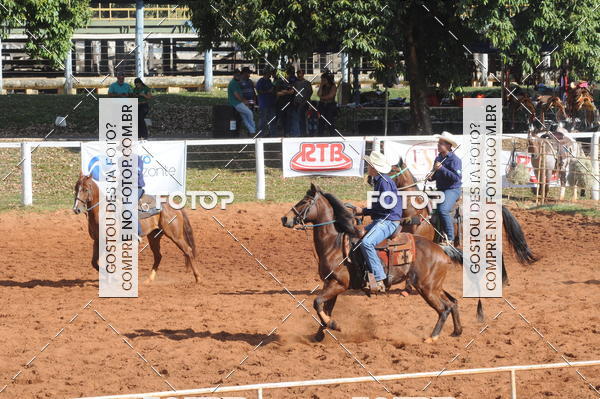 Buy your photos of the eventTEAM PENNING  GRANDE FINAL CAMARU on Fotop