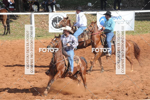 Buy your photos of the eventTEAM PENNING  GRANDE FINAL CAMARU on Fotop
