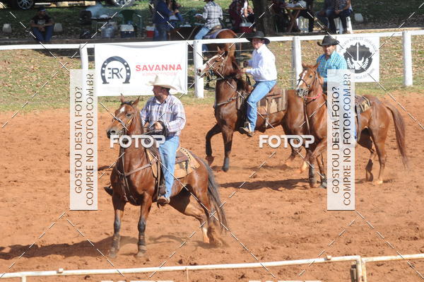 Buy your photos of the eventTEAM PENNING  GRANDE FINAL CAMARU on Fotop