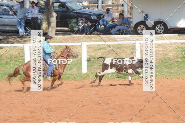 Buy your photos of the eventTEAM PENNING  GRANDE FINAL CAMARU on Fotop