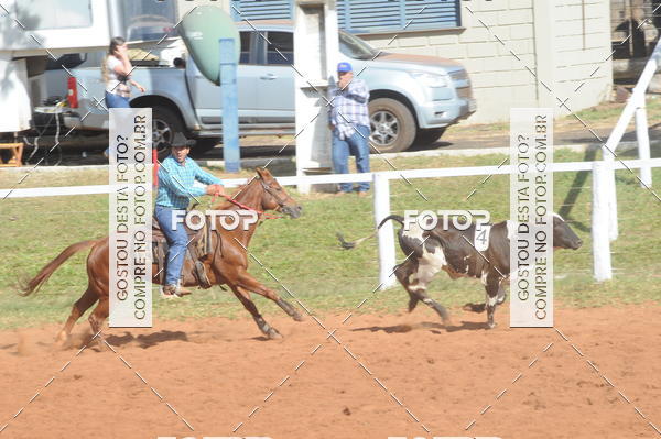 Buy your photos of the eventTEAM PENNING  GRANDE FINAL CAMARU on Fotop