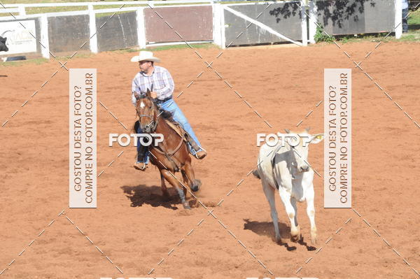 Buy your photos of the eventTEAM PENNING  GRANDE FINAL CAMARU on Fotop