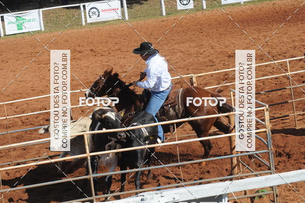 Buy your photos of the eventTEAM PENNING  GRANDE FINAL CAMARU on Fotop