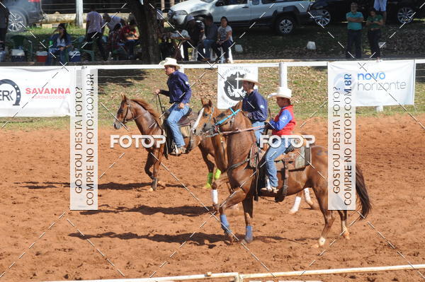 Buy your photos of the eventTEAM PENNING  GRANDE FINAL CAMARU on Fotop
