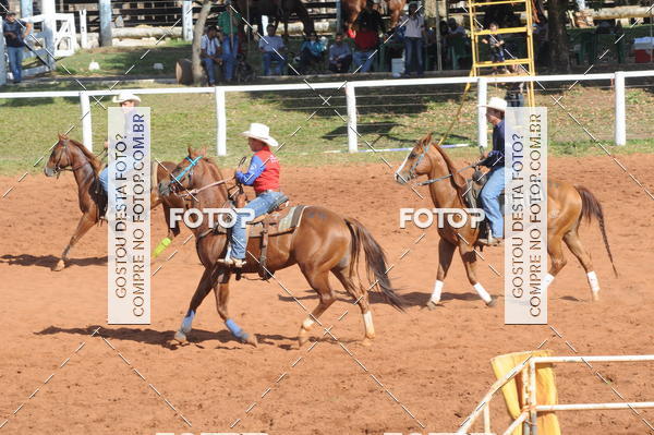 Buy your photos of the eventTEAM PENNING  GRANDE FINAL CAMARU on Fotop