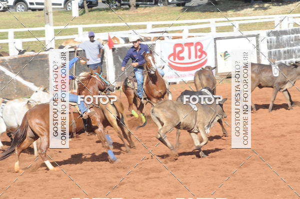 Buy your photos of the eventTEAM PENNING  GRANDE FINAL CAMARU on Fotop