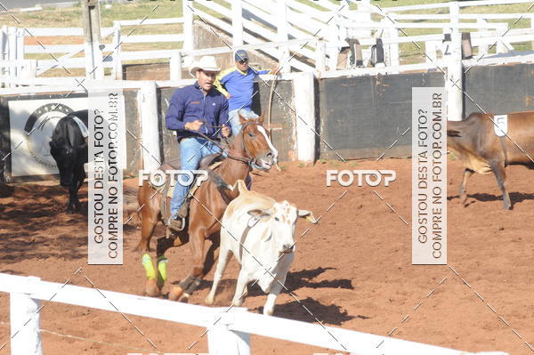 Buy your photos of the eventTEAM PENNING  GRANDE FINAL CAMARU on Fotop