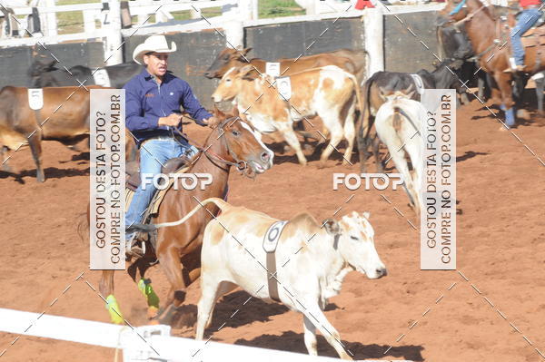Buy your photos of the eventTEAM PENNING  GRANDE FINAL CAMARU on Fotop