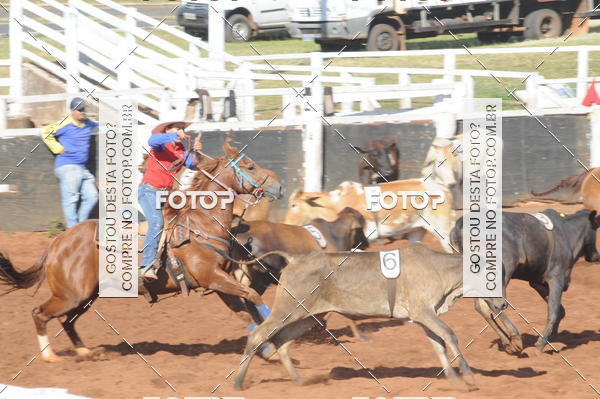 Buy your photos of the eventTEAM PENNING  GRANDE FINAL CAMARU on Fotop
