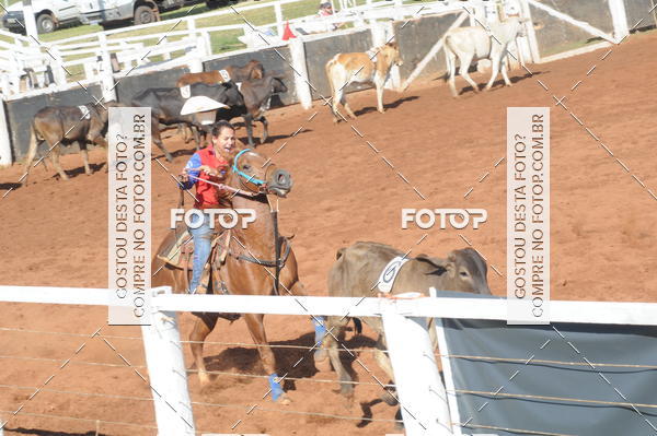 Buy your photos of the eventTEAM PENNING  GRANDE FINAL CAMARU on Fotop