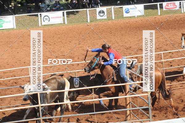 Buy your photos of the eventTEAM PENNING  GRANDE FINAL CAMARU on Fotop